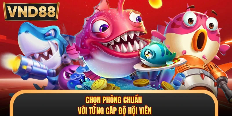 Chọn phòng chuẩn với từng cấp độ hội viên