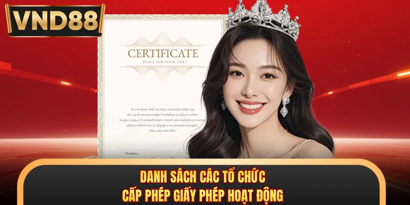 Danh sách các tổ chức cấp phép giấy phép hoạt động