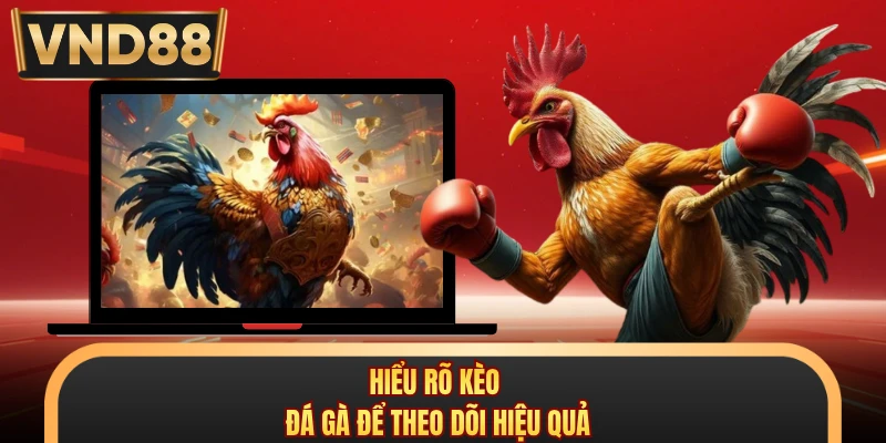 Hiểu rõ kèo đá gà để theo dõi hiệu quả