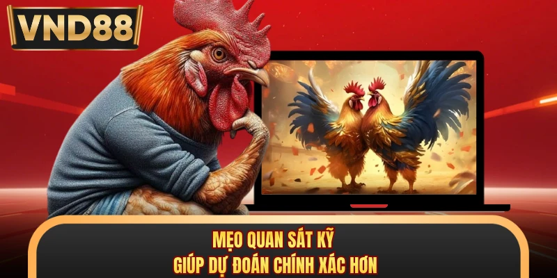 Mẹo quan sát kỹ giúp dự đoán chính xác hơn