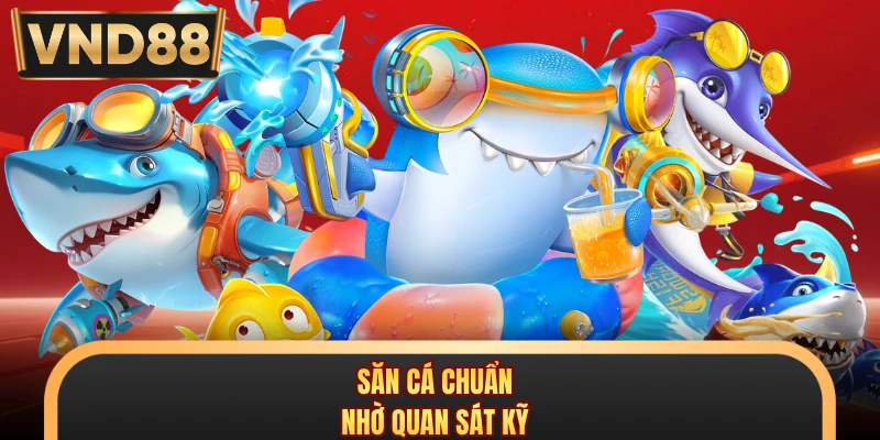 Săn cá chuẩn nhờ quan sát kỹ