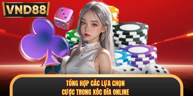 Tổng hợp các lựa chọn cược trong xóc đĩa online