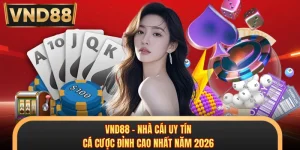 VND88 - Nhà Cái Uy Tín, Cá Cược Đỉnh Cao Nhất Năm 2026